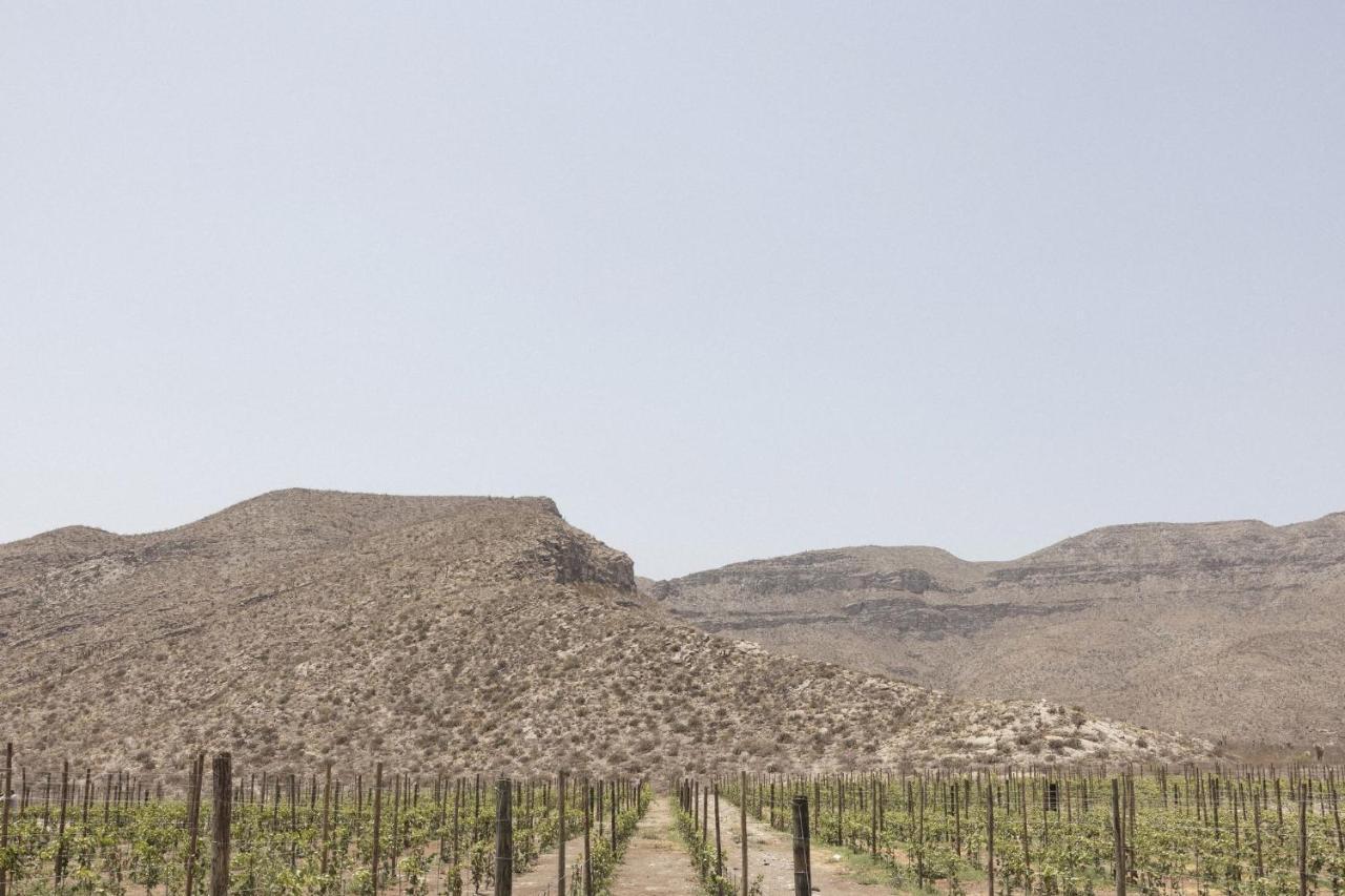 Tierra Maria Otel Cuatrociénegas de Carranza Dış mekan fotoğraf